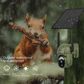 Camouflage 4G Solar Camera With Low Power Consumption And High-definition Full Color